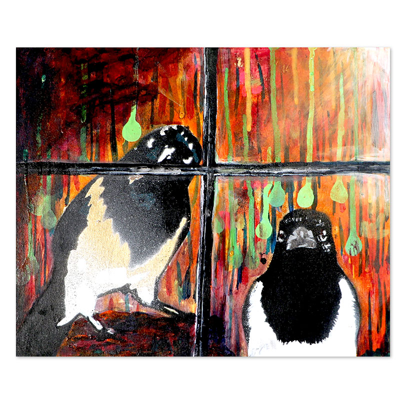 two magpies at a window